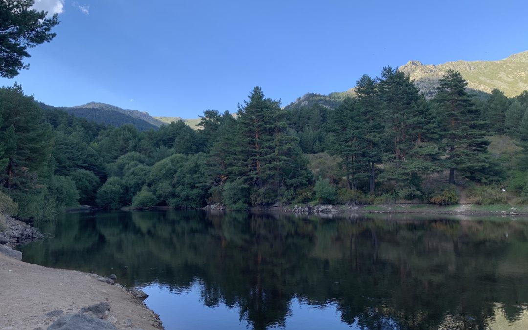 EL EFECTO DE LA NATURALEZA EN NUESTRO BIENESTAR