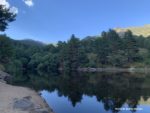 EL EFECTO DE LA NATURALEZA EN NUESTRO BIENESTAR